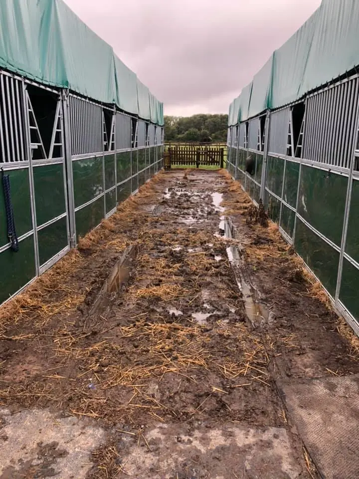 TM Stable – Industrial floor