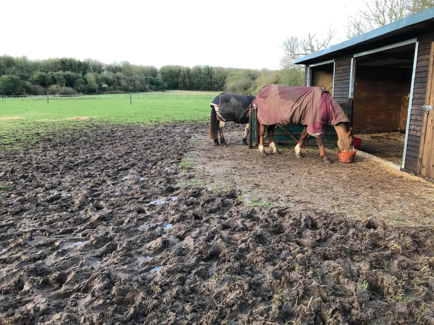 TM Stable – Industrial floor