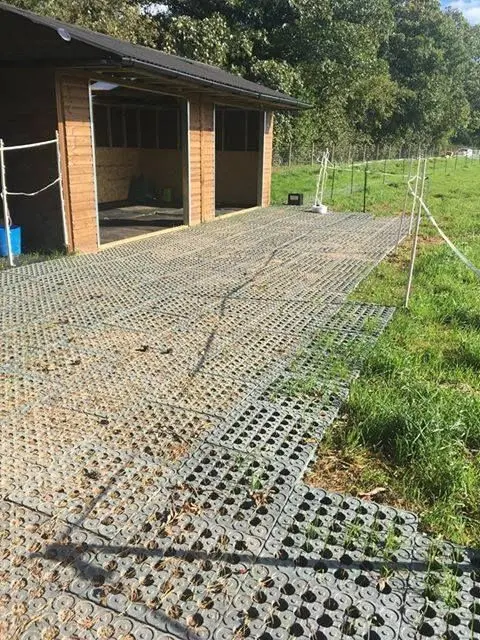 TM Stable – Industrial floor