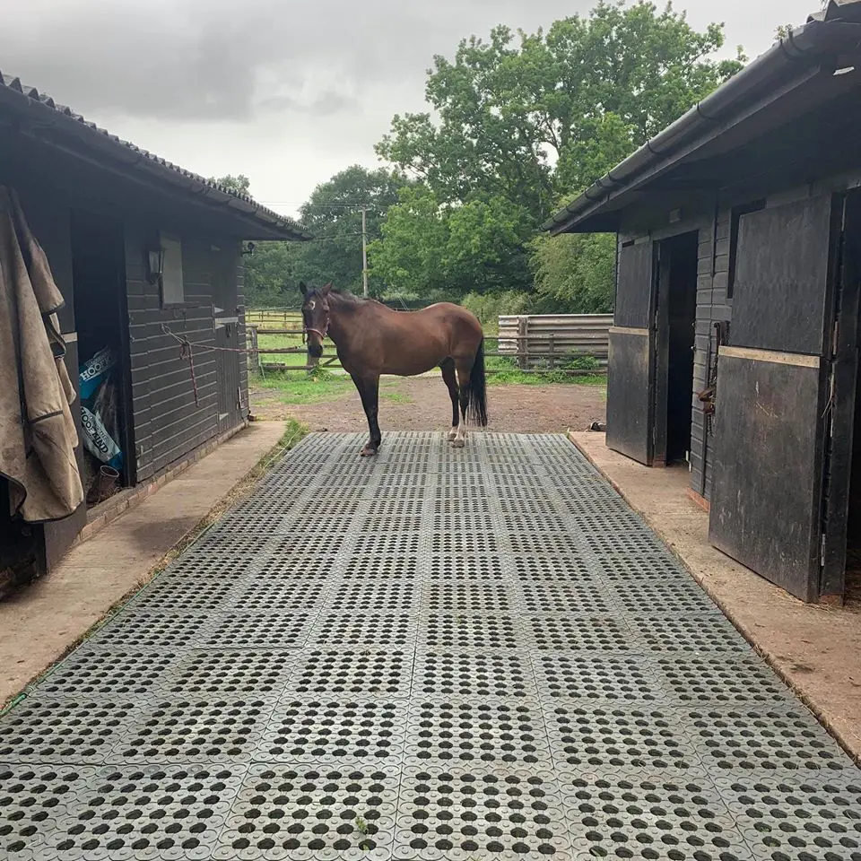 TM Stable – Industrial floor