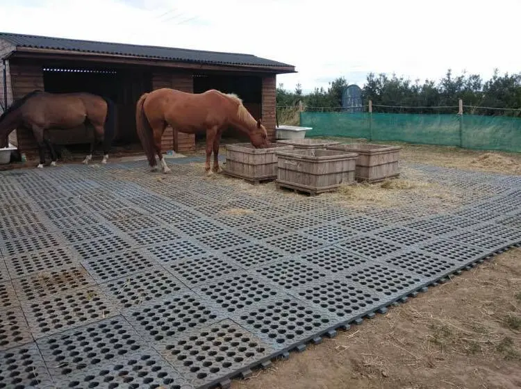 TM Stable – Industrial floor