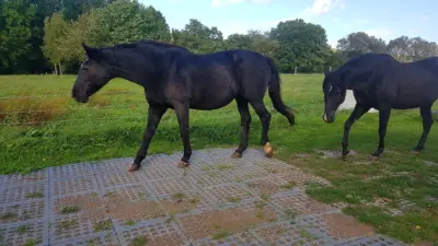 TM Stable – Industrial floor
