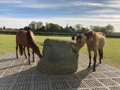 TM Stable – Industrial floor
