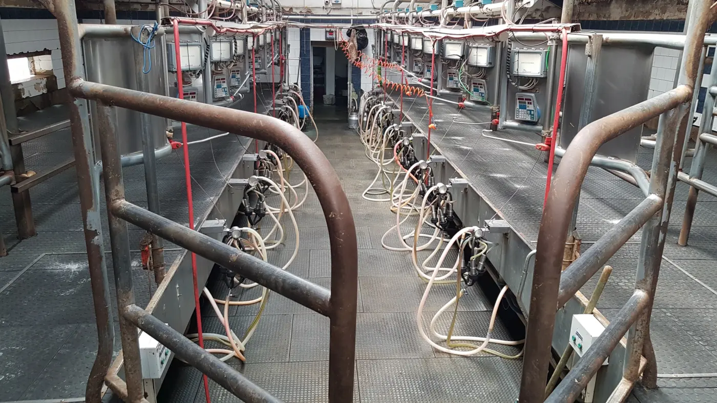 TM Interior – Industrial floor