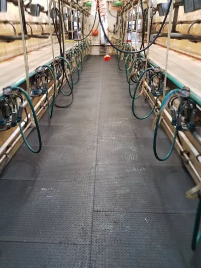 TM Interior – Industrial floor