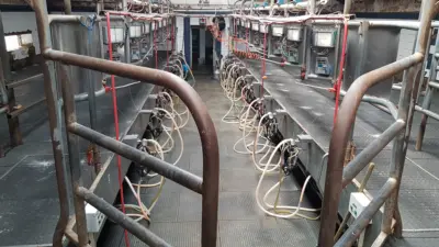 TM Interior – Industrial floor