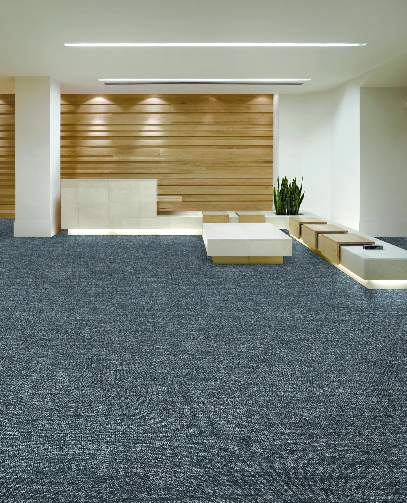 TM Structure – Industrial floor