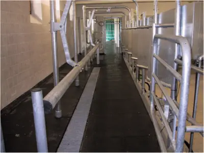 TM Interior – Industrial floor