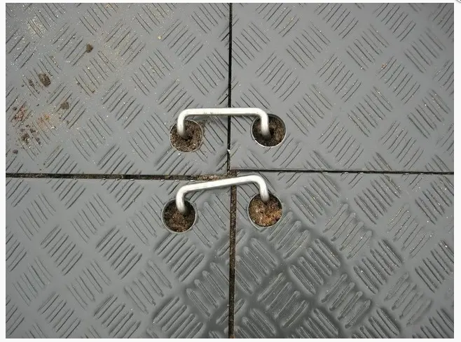 Ground anchor for TM Xtreme – Zubehör